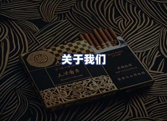专业团队